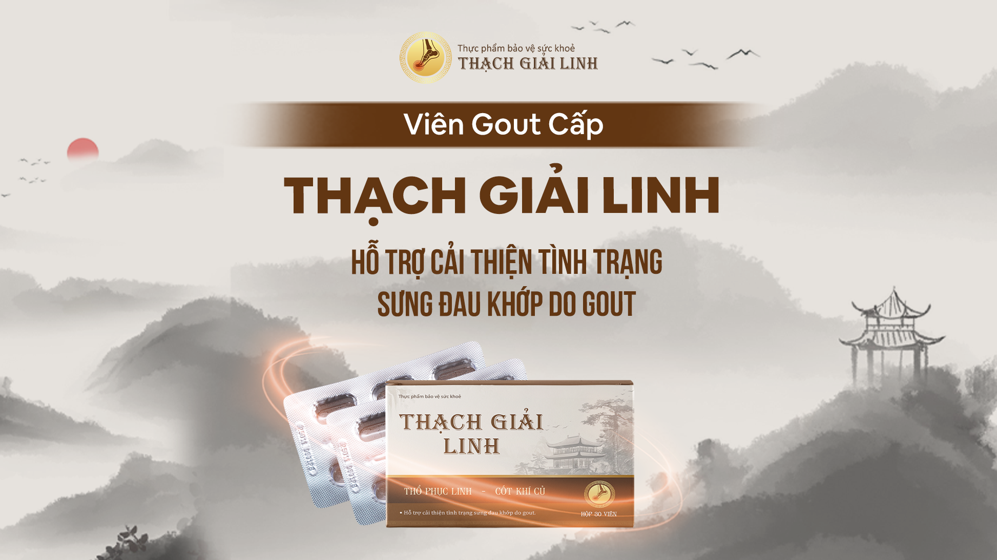 Viên gout cấp Thạch Giải hỗ trợ hiệu quả trong hỗ trợ điều trị bệnh gout